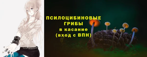 первитин Белокуриха