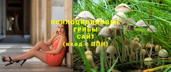 первитин Белокуриха