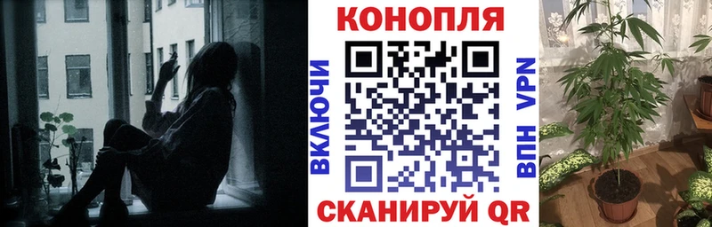 где найти наркотики Ахтырский Бошки Шишки конопля